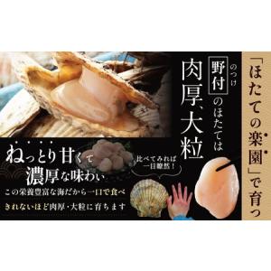 ふるさと納税 隔月2回定期便 北海道 野付産 ...の詳細画像2