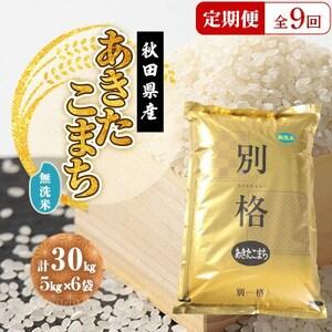 ふるさと納税 【毎月定期便】あきたこまち 無洗米 30kg(5kg×6袋)全9回【配送不可地域：離島・沖縄県】【4080835】 秋田県大潟村