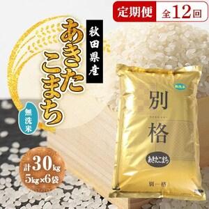 ふるさと納税 【毎月定期便】あきたこまち 無洗米 30kg(5kg×6袋)全12回【配送不可地域：離島・沖縄県】【4080836】 秋田県大潟村