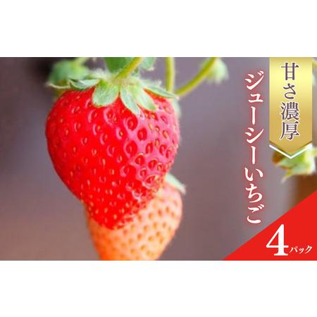 ふるさと納税 甘さ濃厚 ジューシーいちご4パック 千葉県船橋市