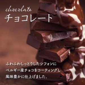 ふるさと納税 『ガナッシュシフォンケーキ』キタ...の詳細画像2