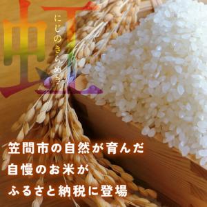 ふるさと納税 米 にじのきらめき 精米 5kg...の詳細画像1