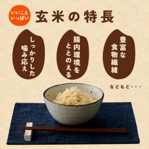 ふるさと納税 玄米 米 5kg にじのきらめき...の詳細画像1