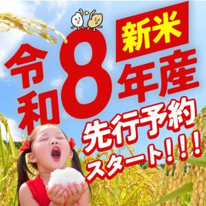 ふるさと納税 米 精米 定期便 10kg 6ヵ...の詳細画像1