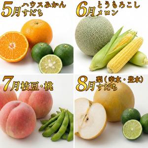 ふるさと納税 フルーツ 野菜 定期便 3回 定...の詳細画像2