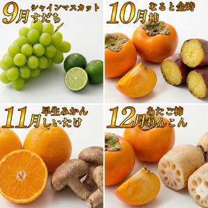 ふるさと納税 フルーツ 野菜 定期便 3回 定...の詳細画像3