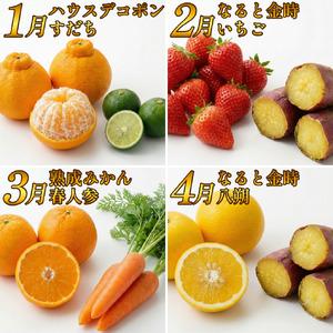 ふるさと納税 フルーツ 野菜 定期便 6回 定...の詳細画像1