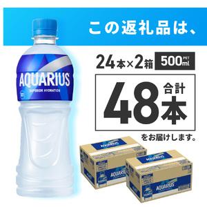 ふるさと納税 アクエリアス500mlPET×4...の詳細画像2