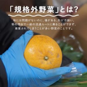 ふるさと納税 <ロスヘル>多数のメディアで紹介...の詳細画像2