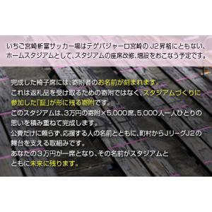 ふるさと納税 【サッカー 支援】 テゲバジャー...の詳細画像2