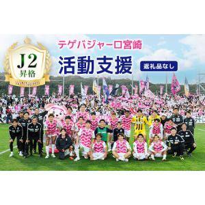 ふるさと納税 【サッカー 支援】 テゲバジャーロ 宮崎 J2 昇格 応援 10,000円 S28-02 宮崎県新富町