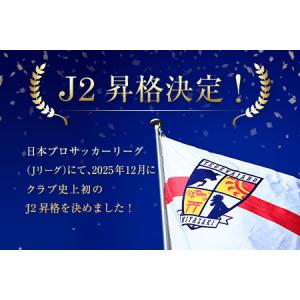 ふるさと納税 【サッカー 支援】 テゲバジャー...の詳細画像1