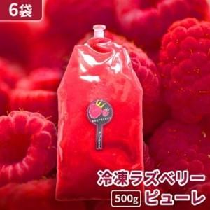 ふるさと納税 【北海道十勝産 贅沢ピューレ】冷凍ラズベリーピューレ 3kg(500g×6袋)【配送不可地域：離島】【1677104】 北海道帯広市