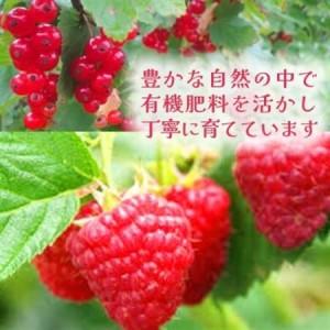 ふるさと納税 【北海道十勝産 贅沢ピューレ】冷...の詳細画像3