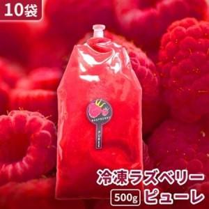 ふるさと納税 【北海道十勝産 贅沢ピューレ】冷凍ラズベリーピューレ 5kg(500g×10袋)【配送不可地域：離島】【1677105】 北海道帯広市