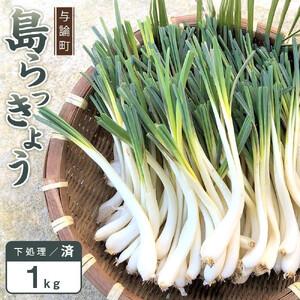 ふるさと納税 【令和8年3月頃発送】島らっきょう1ｋｇ(皮処理済） 鹿児島県与論町