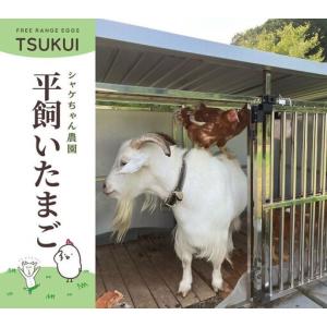 ふるさと納税 cometamaの平飼い卵 30...の詳細画像3