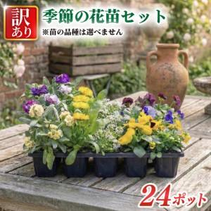 ふるさと納税 訳あり 品種おまかせ 季節のお花 24ポット 寄せ植え 花 ガーデニング 園芸 花苗 季節 お花 ハイフラワー 埼玉県 羽生市 埼玉県羽生市
