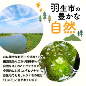 ふるさと納税 品種おまかせ 季節の花苗 24ポ...の詳細画像4