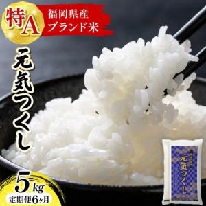 ふるさと納税 【定期便：６ケ月】令和７年産 福岡県産米 元気つくし 5kg 精米 CY011sub6 福岡県大木町