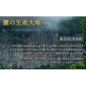 ふるさと納税 雪下にんじんジュース 果汁MIX...の詳細画像2