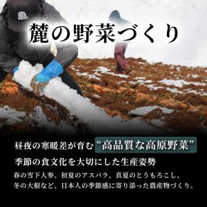 ふるさと納税 雪下にんじんジュース 1L(1本...の詳細画像3
