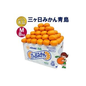 ふるさと納税 三ケ日みかん 青島【秀品】Mサイズ8kg(72個前後) ミカン 果物 くだもの フルーツ 甘い 果物類 柑橘類 静岡 浜松市【配送不可：北海.. 静岡県浜松市
