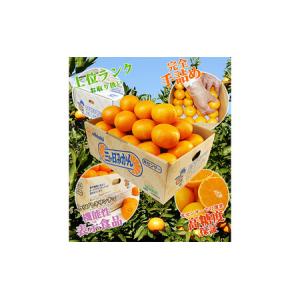 ふるさと納税 三ケ日みかん 青島【秀品】Mサイ...の詳細画像3