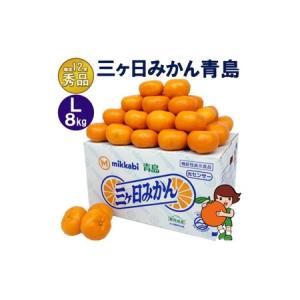 ふるさと納税 三ケ日みかん 青島【秀品】Lサイズ8kg(60個前後) ミカン 果物 くだもの フルーツ 甘い 果物類 柑橘類 静岡 浜松市【配送不可：北海.. 静岡県浜松市