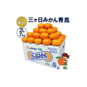 ふるさと納税 三ケ日みかん 青島【秀品】2Lサイズ7kg(40個前後) ミカン 果物 くだもの フルーツ 甘い 果物類 柑橘類 静岡 浜松市【配送不可：北.. 静岡県浜松市