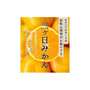 ふるさと納税 三ケ日みかん 青島【秀品】2Lサ...の詳細画像2