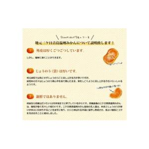 ふるさと納税 三ケ日みかん 青島【秀品】2Lサ...の詳細画像4