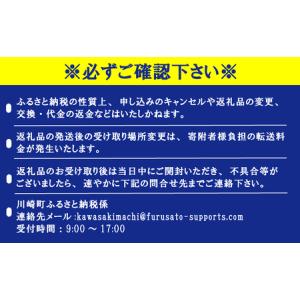 ふるさと納税 【令和8年産先行予約!2026年...の詳細画像4