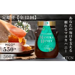 ふるさと納税 【定期便全12回】マヌカハニー MGO550＋ 500g インカナムマヌカハニー・T144 愛知県西尾市