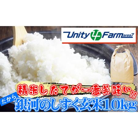 ふるさと納税 数量限定 岩手県産 銀河のしずく 玄米 10kg 【ユニティファーム】 米 こめ コメ...