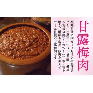 ふるさと納税 江戸時代から続く伝統の味「甘露梅...の詳細画像1