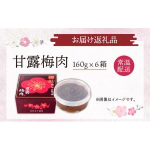 ふるさと納税 江戸時代から続く伝統の味「甘露梅...の詳細画像4