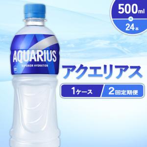 ふるさと納税 【2回定期便】アクエリアス 500ml PET × 24本 1ケース 毎月 2回 AQUARIUS スポーツドリンク スポーツ飲料 ペットボトル 熱.. 宮崎県えびの市