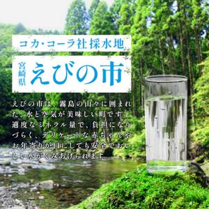 ふるさと納税 【2回定期便】アクエリアス 50...の詳細画像3