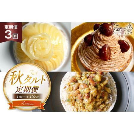 ふるさと納税 タルト 秋タルト 1ホール 12cm 3回 定期便 モンブラン キャラメルナッツ [心...