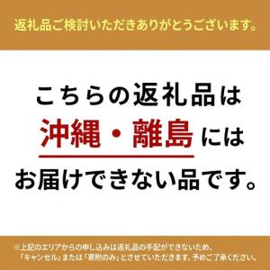 ふるさと納税 製氷機 家庭用 最短6分 高速製...の詳細画像1