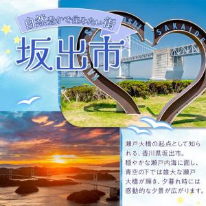 ふるさと納税 【全12回】坂出市 オールスター...の詳細画像1