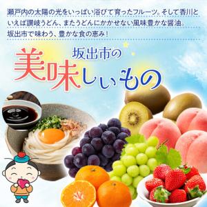 ふるさと納税 【全12回】坂出市 オールスター...の詳細画像2