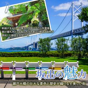 ふるさと納税 【全12回】坂出市 オールスター...の詳細画像3