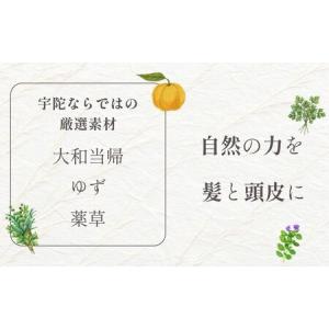 ふるさと納税 【定期便12回】大和当帰美人 髪...の詳細画像3