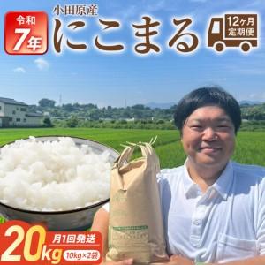 ふるさと納税 【期間限定・数量限定！】令和7年産　毎月お届け　定期便　富水米　精米　20kg×12か月　にこまる 神奈川県小田原市
