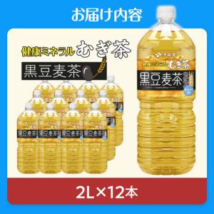 ふるさと納税 【9月30日 受付終了】健康ミネ...の詳細画像1
