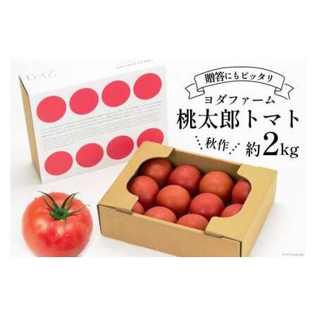 ふるさと納税 【2026年発送】 秋作 トマト 桃太郎 約2kg [ヨダファーム 山梨県 中央市 2...