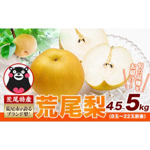 ふるさと納税 ＜ひるおびで紹介されました＞2026年先行予約 梨 荒尾梨 約4.5〜5kg（8〜22玉） なし フルーツ 果物 旬 《2026年8月下旬‐11月中旬.. 熊本県荒尾市