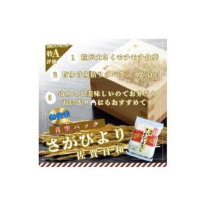 ふるさと納税 [令和7年産]【無洗米】さがびよ...の詳細画像1